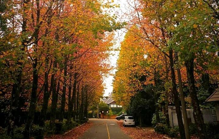 Apartamento Familia Sirangelo Gramado Dış mekan fotoğraf