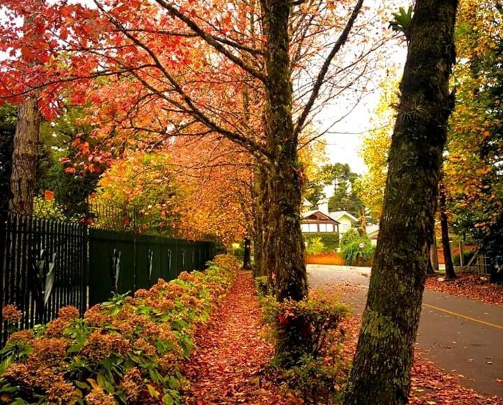 Apartamento Familia Sirangelo Gramado Dış mekan fotoğraf