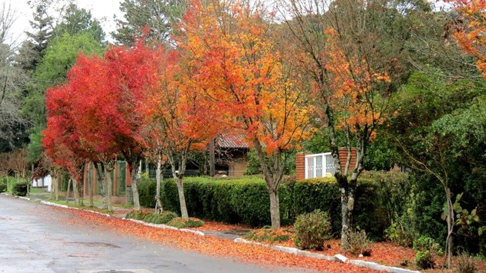 Apartamento Familia Sirangelo Gramado Dış mekan fotoğraf