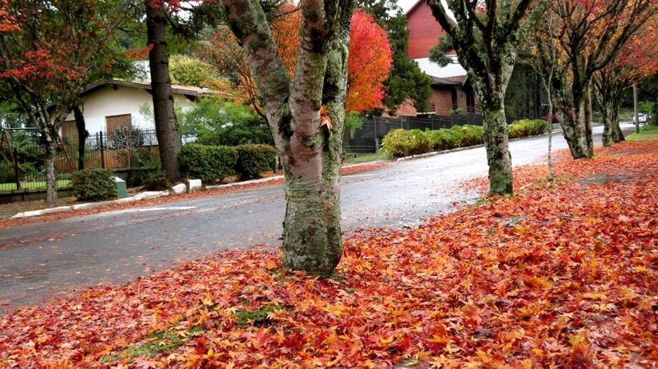 Apartamento Familia Sirangelo Gramado Dış mekan fotoğraf