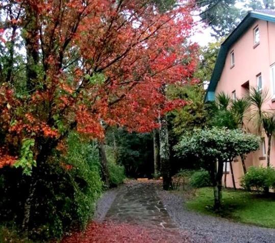 Apartamento Familia Sirangelo Gramado Dış mekan fotoğraf